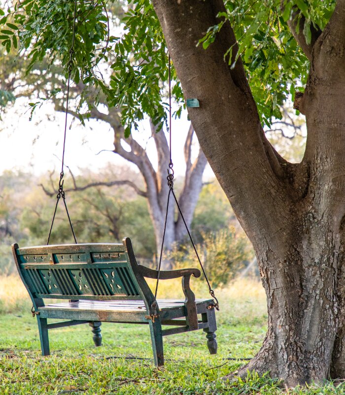 Simbavati Camp George