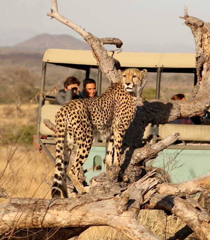 Lukimbi Safari Lodge