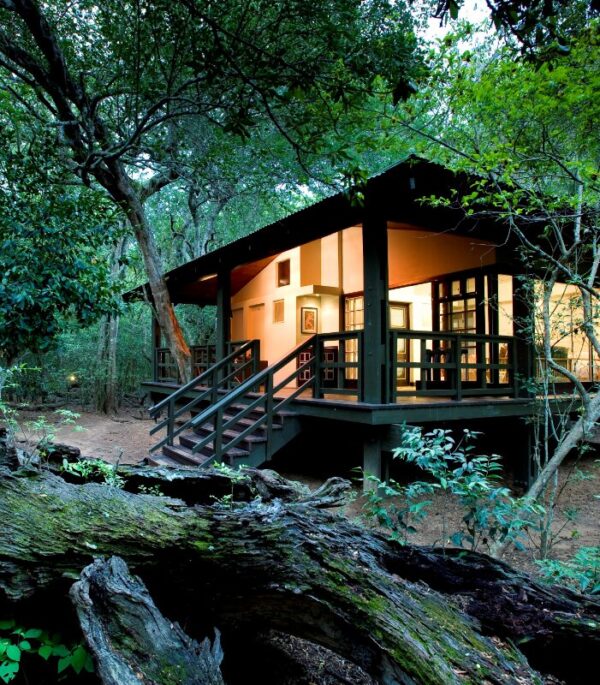andBeyond Phinda Forest Lodge