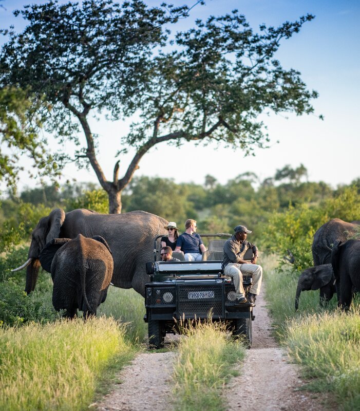 Simbavati Hilltop Lodge