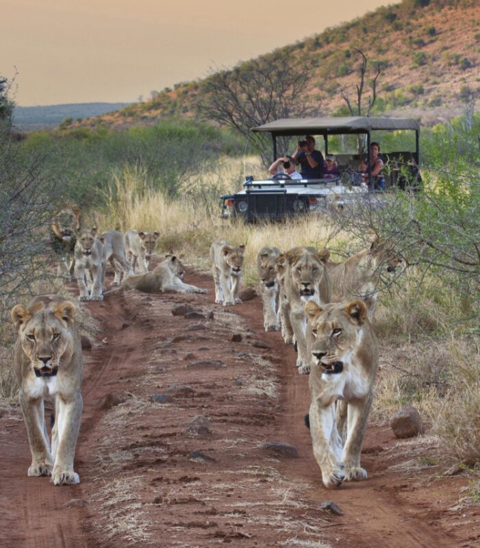 Tuningi Safari Lodge