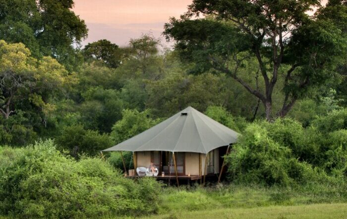 andBeyond Ngala Tented Camp
