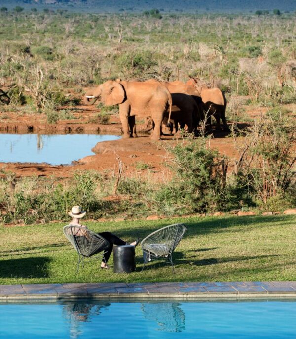 Madikwe Safari Lodge - Lelapa