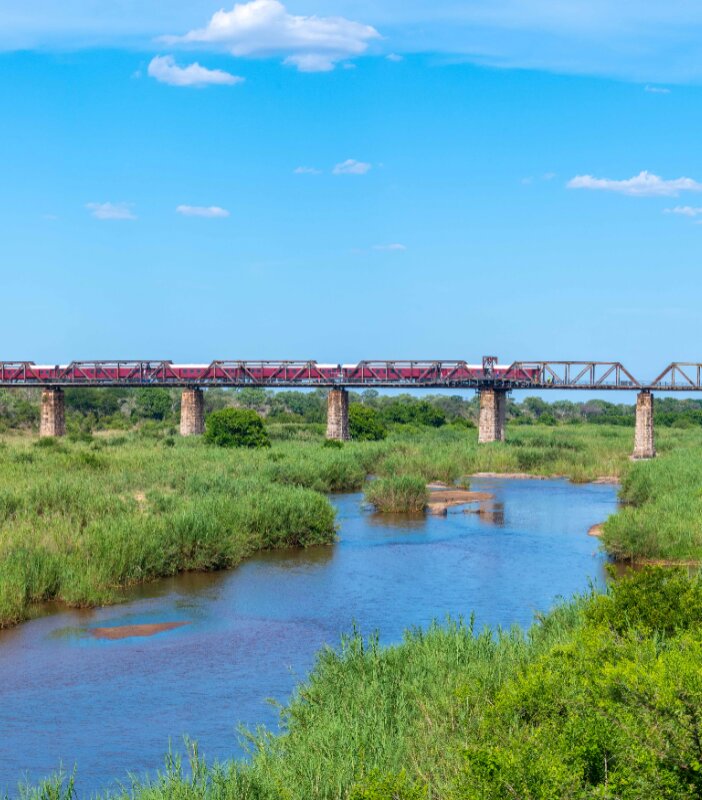 Kruger Shalati – The Train on the Bridge