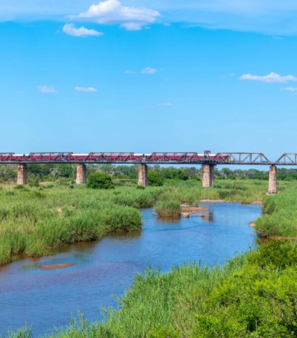 Kruger Shalati - The Train on the Bridge