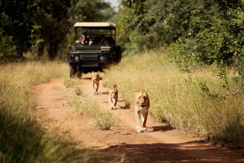 Jabulani Safari Lodge