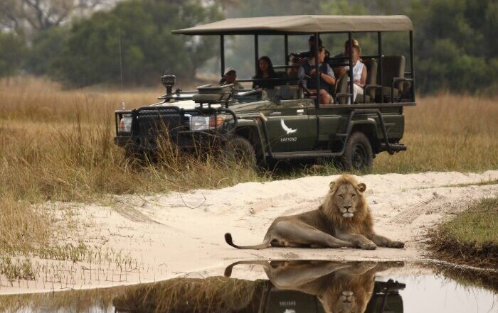 andBeyond Sandibe Okavango Safari Lodge