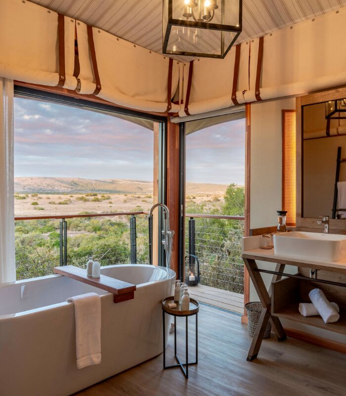 Shamwari Sindile Safari Lodge