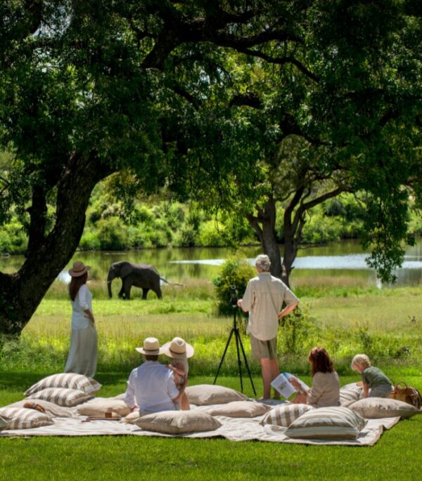 Singita Castleton