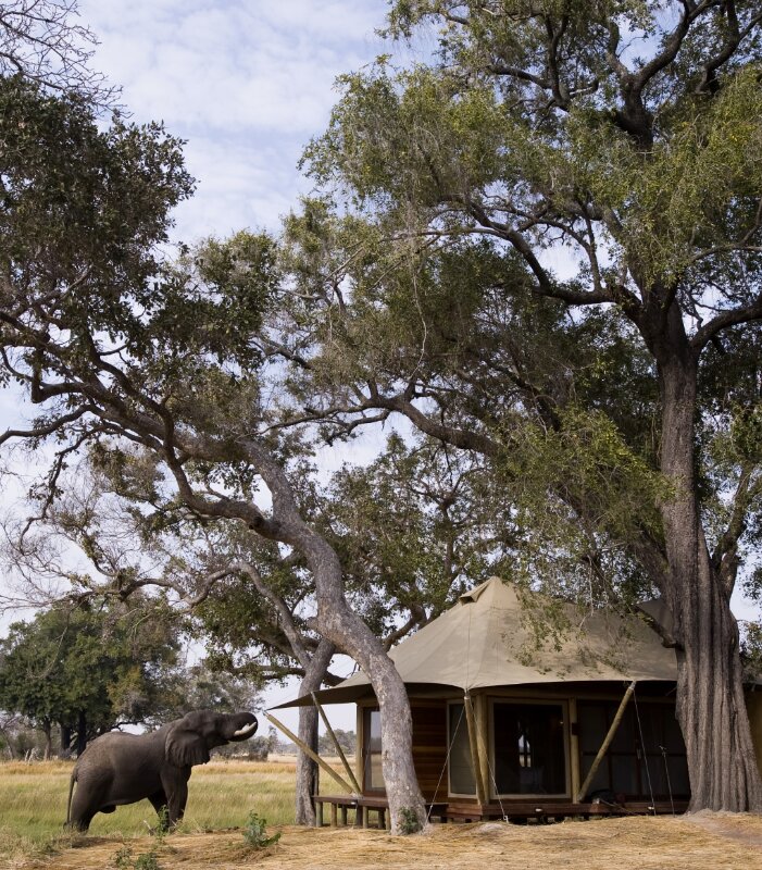 andBeyond Xaranna Okavango Delta Camp