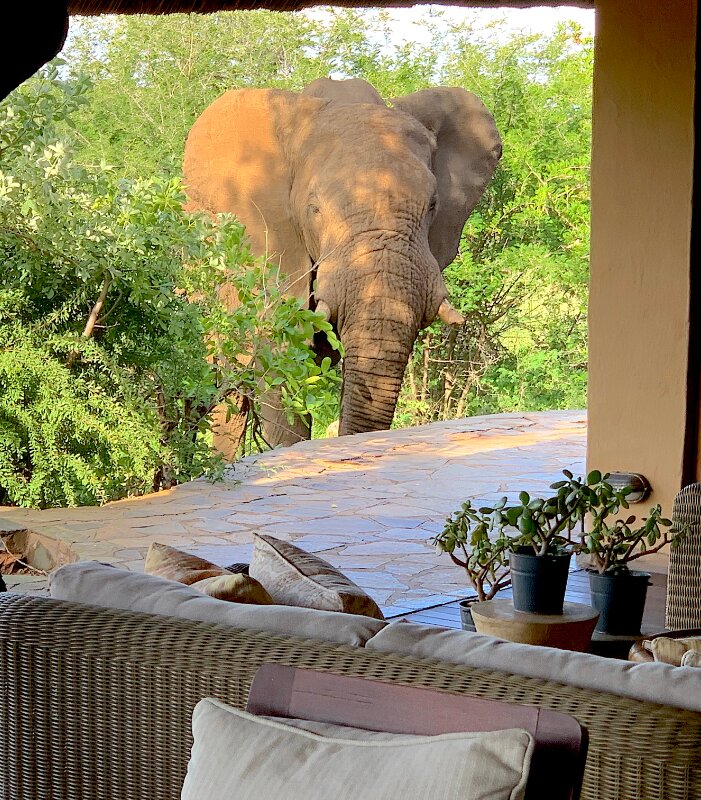 Rhulani Safari Lodge